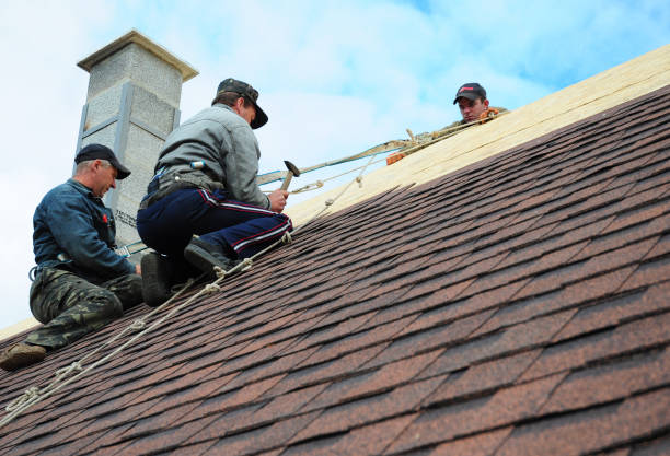 Best Storm Damage Roof Repair  in Garland, TX